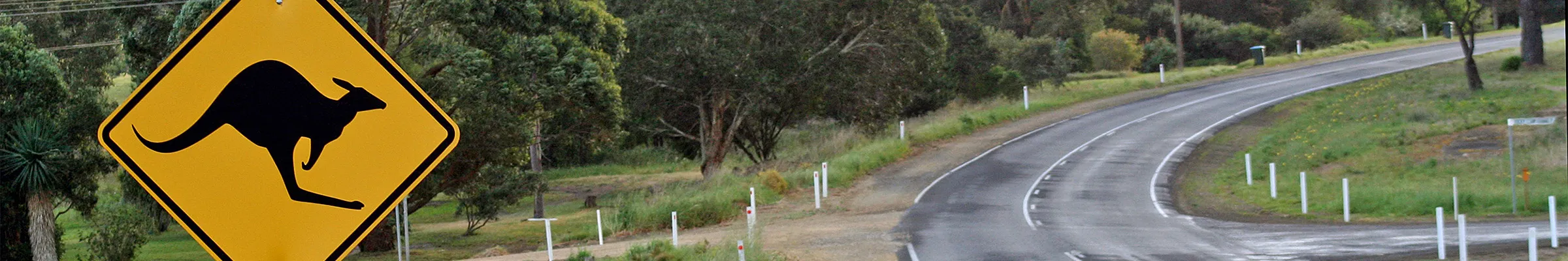 kangaroo road sign