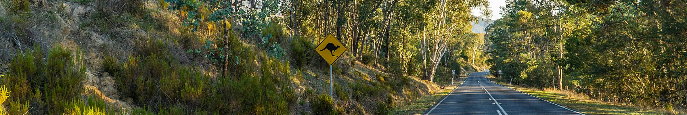 Kangaroo road sign and bush