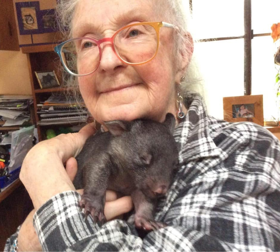 Caring for animals