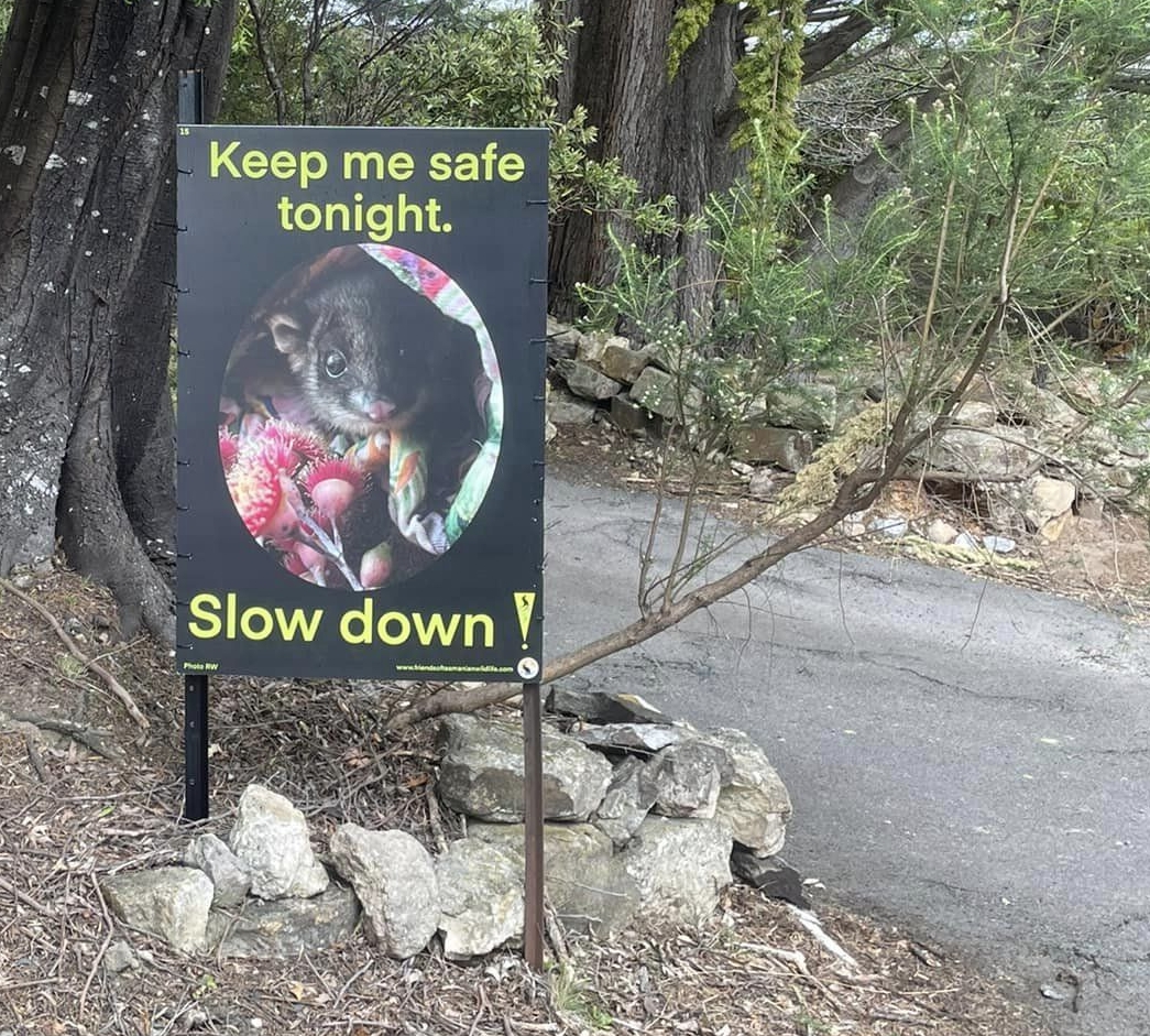 Slow down poster - road