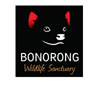 Bonorong Wildlife Sanctuary