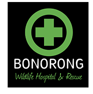Bonorong Wildlife Rescue