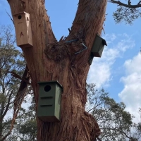 Habitat home installation