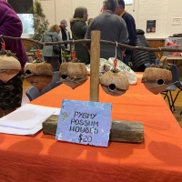 Habitat homes - Pigmy possums