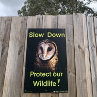 Slow down poaster - fence