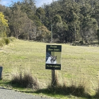 Slow down poster - road