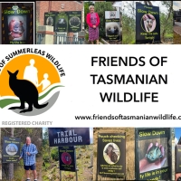 Friends of Tasmania Wildlife poster