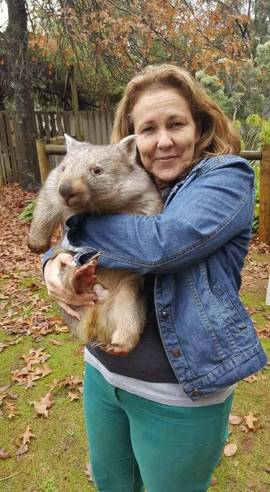 Cured wombat