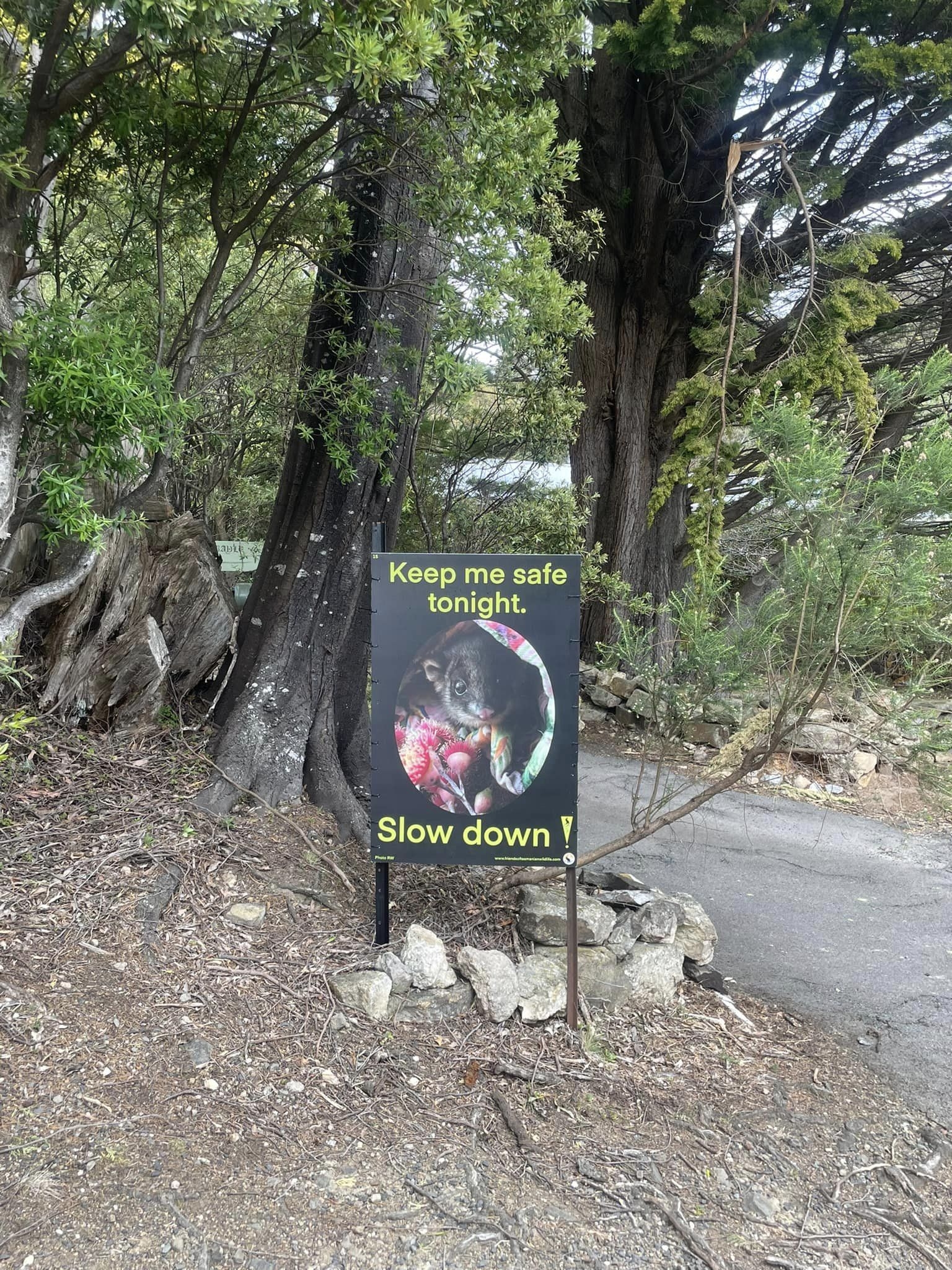 Slow down poster - road