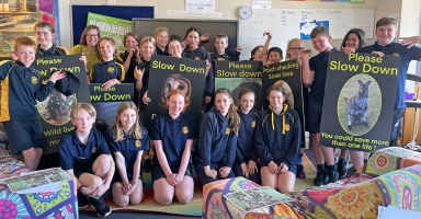 Working with schools